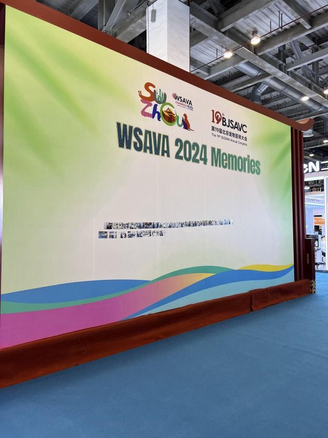 wsawa-2024-f09.jpg