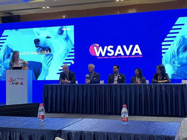 wsawa-2024-f1.jpg