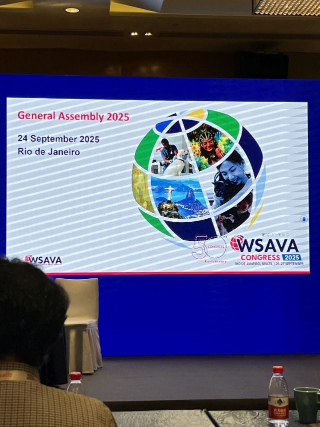 wsawa-2024-f02.jpg