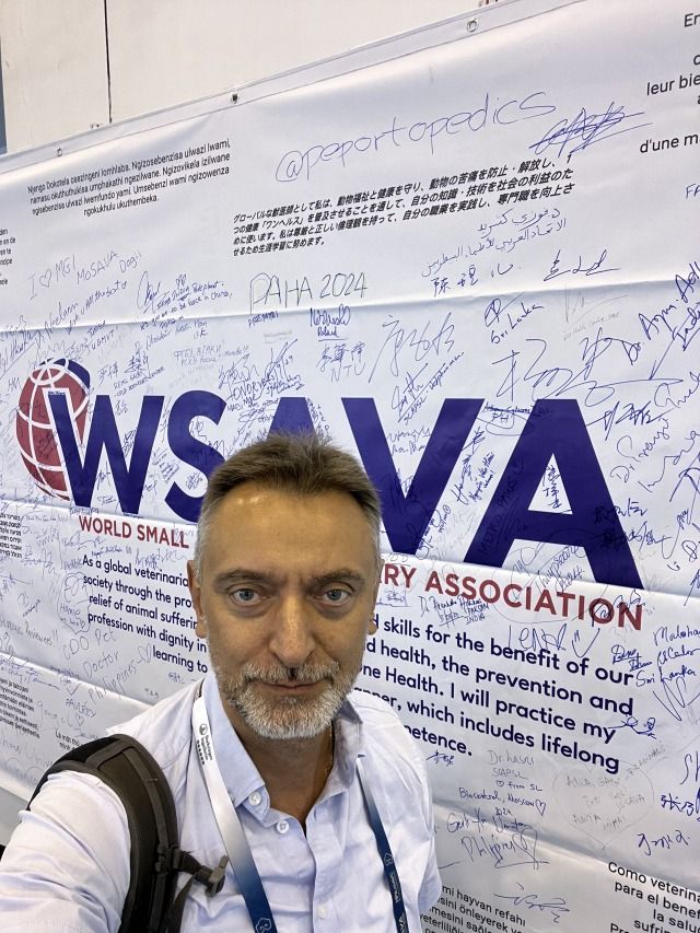 wsawa-2024-f11.jpg